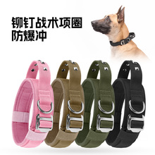 ���R�d�����Ȧ�󹷠������ô���Ȯ�����_�Tᔌ�����K���g�Ȧ