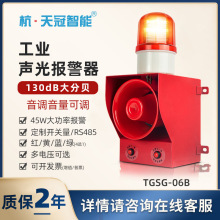 TGSG-06B声光报警器可调 声光一体工业语音提示告警器 130大分贝