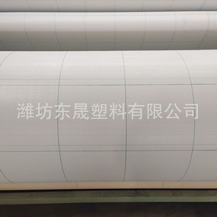 Pp White Gardening Ground Cloth Greenhouse Ground Cloth Checkered Weeding Cloth White Greenhouse Reflective Ground Cloth Export Customization