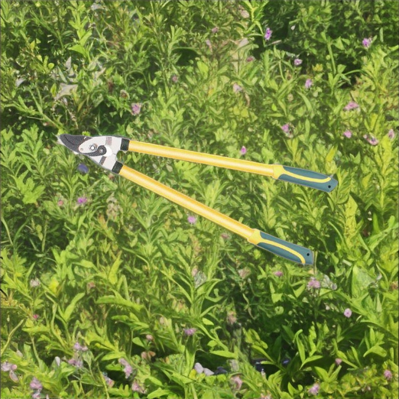 厂家直销高质量高枝剪树枝剪粗枝剪园林剪大力剪.欢迎选购