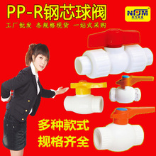 PPRˮ��������^�y�T �Ӻ��ڏ��������������y PPR�F���о���y