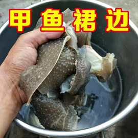 甲鱼裙边带 250克/盒冷冻水产品批发 广州黄沙现货