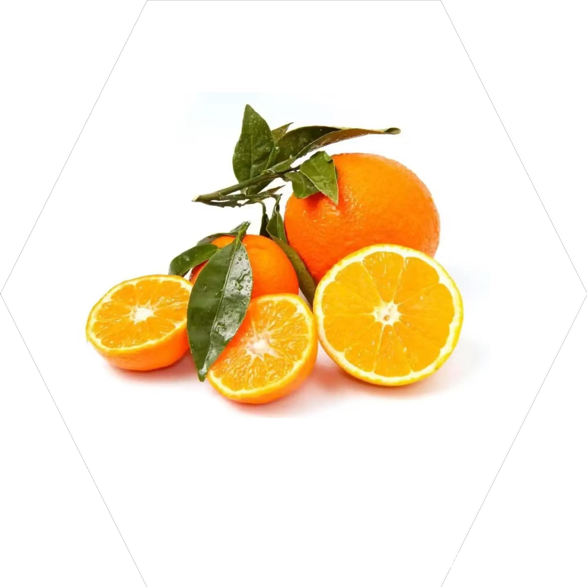 Vegetales y frutas patrón supermercado luces especiales frescas tienda de frutas decoración luces de forma especial tienda por departamentos luces súper industriales