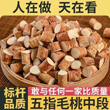 ����Ұ����ָë�Ҹ����߲�������ţ�������ؼ���ș��Ī���u�Ҝ���