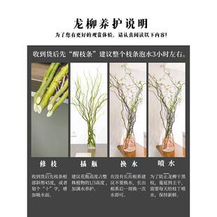 ���L�r��֦���F��͏dˮ��Gֲ�ﻨ���҃����Ժ��B���֧ѩ��