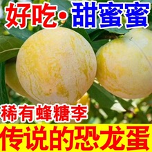 ϡ�з����������rˮ���һ���������Fժ�ڸ�������S��