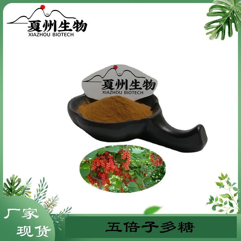 五倍子提取物 10/20/30/50:1 五倍子多糖30%50%规格 水溶五倍子粉