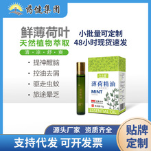 工厂定制清凉油提神醒脑防瞌睡疲劳熬夜防叮咬薄荷精油贴牌代加工