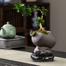 ����͹şo���~�X���մɺ��s�Ҿ�ˮ��������ʽ�廨���ߙn�Gֲ����