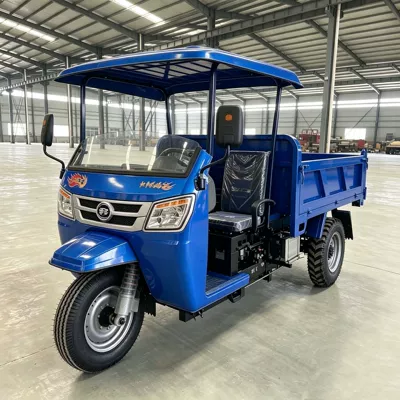 Sərnişin üçtəkərli motosikllar low fuel consumption, durable, suitable