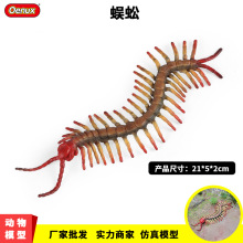 跨境仿真野生动物模型蜈蚣天龙百足虫节肢动物儿童认知玩具批发