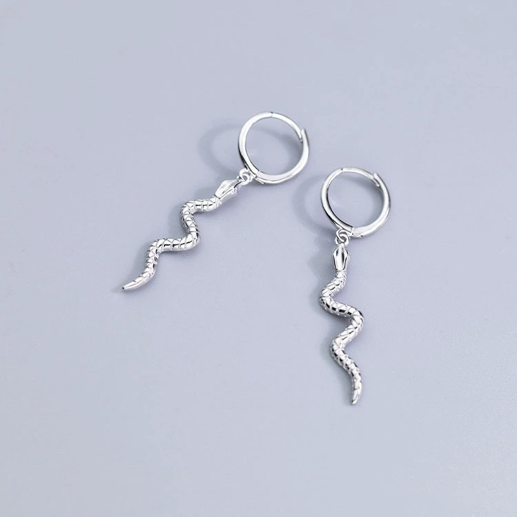 Earrings for beloved, punk style