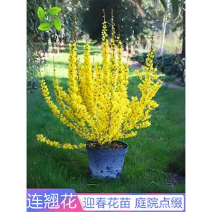 ӭ������������ӭ������ͥԺ�G���ͺ�������Ԯ���ܘ���B�N������