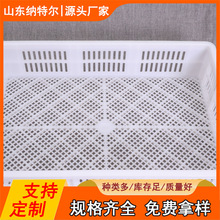 �S�����lpeʳƷ�΃��� ����P �������Ͽ� ���͵͜�����40��ʹ��