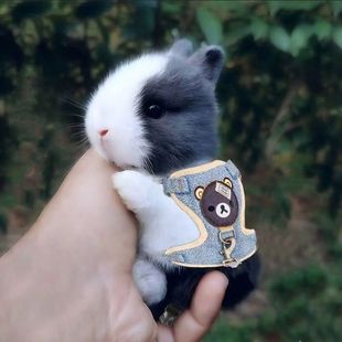 С�����ӻ���٪�����L��������С�͹������m������С�ü��B������