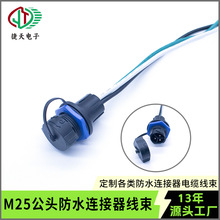 ����M25 3о��ĸ�^���w����ֲ�����L��LED��ˮ�����B������|����