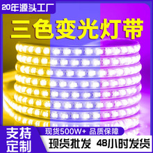 三色变光家用灯带led灯条超亮220V户外防水变色软灯带条客厅吊顶