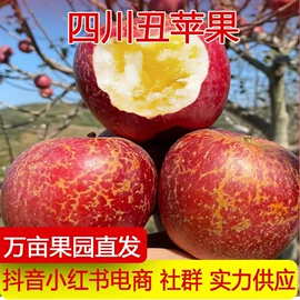 其他水果;柑桔;梨