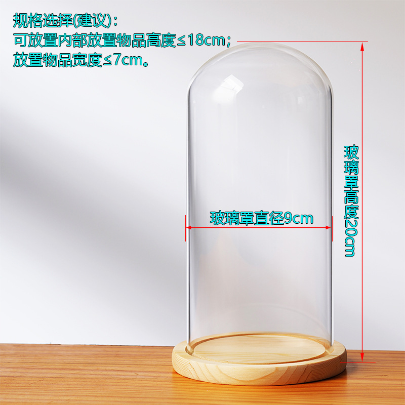 Cubierta cilíndrica de vidrio transparente sin lámpara de madera de estilo inmortal cubierta de polvo de flores hecha a mano decoración creativa de escritorio de bloques