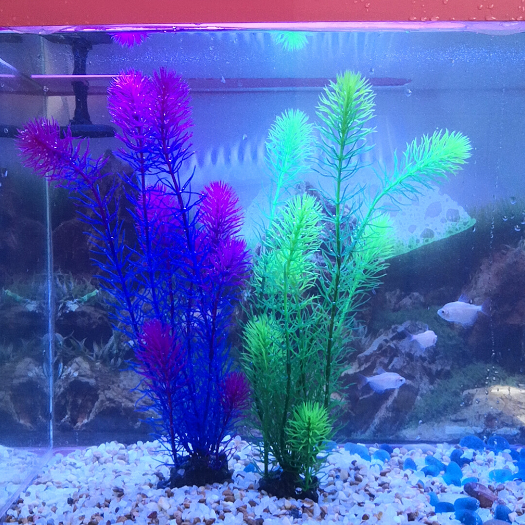 Fábrica de simulación de plantas acuáticas acuario paisajismo planta verde largo plantas acuáticas Comercio exterior paisajismo paquete combinado múltiple