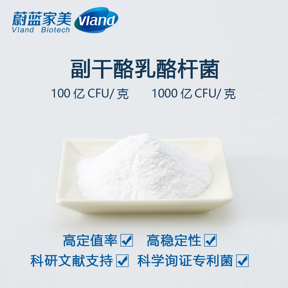 Пробиотики Lactobacillus parcasei лиофилизированный порошок Пробиотики Lactobacillus порошок сырья производитель пищевых продуктов в наличии