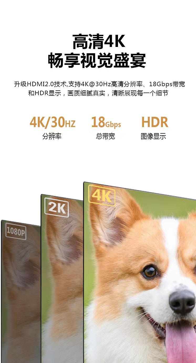 长城HDMI经济版- (2).jpg