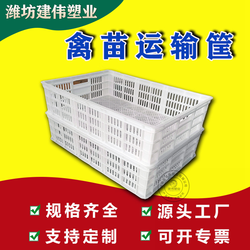 加厚禽苗筐 全新料物流运输筐 养殖场鸡苗塑料筐 规格齐全