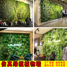 ֲﱳ컨픿͏dWt҃Ƞbϼٲƺ