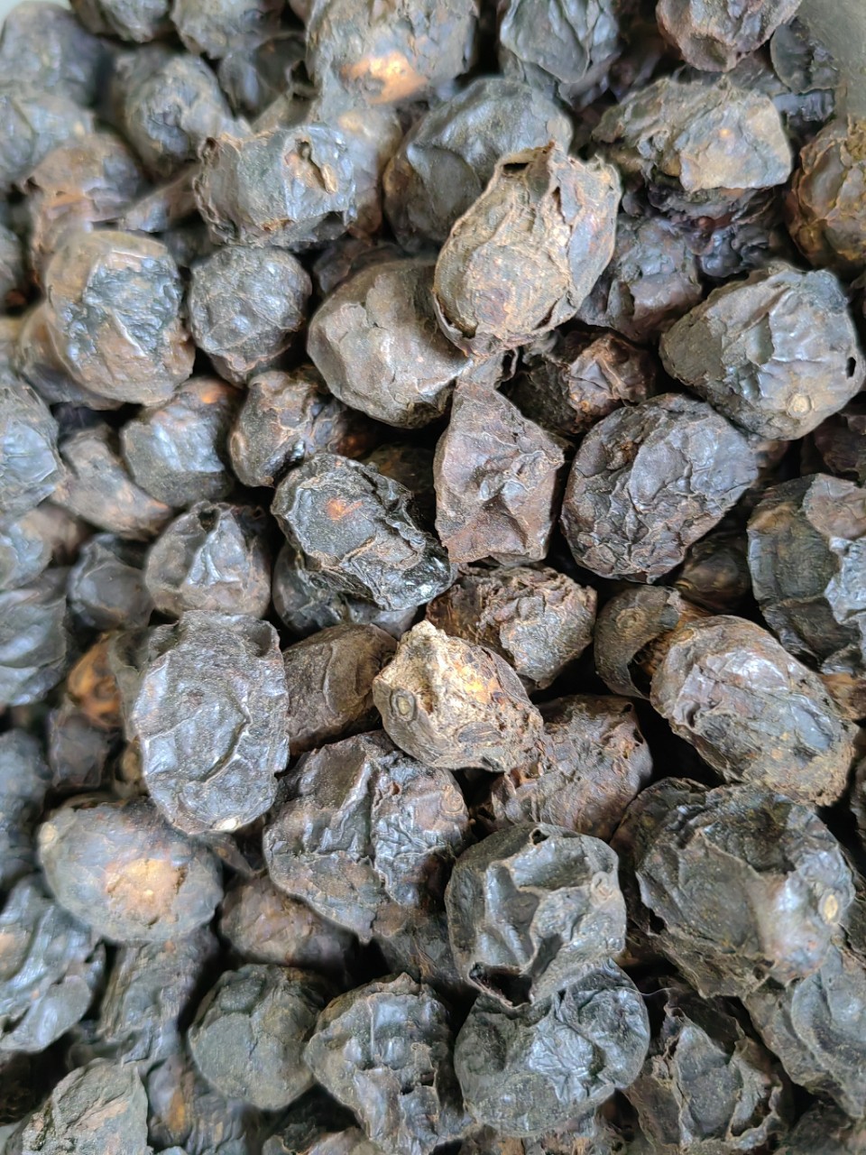 Guang Zao (Choerospondias axillaris) — Dried Wild Jujube Fruit for Tea & Soup key features