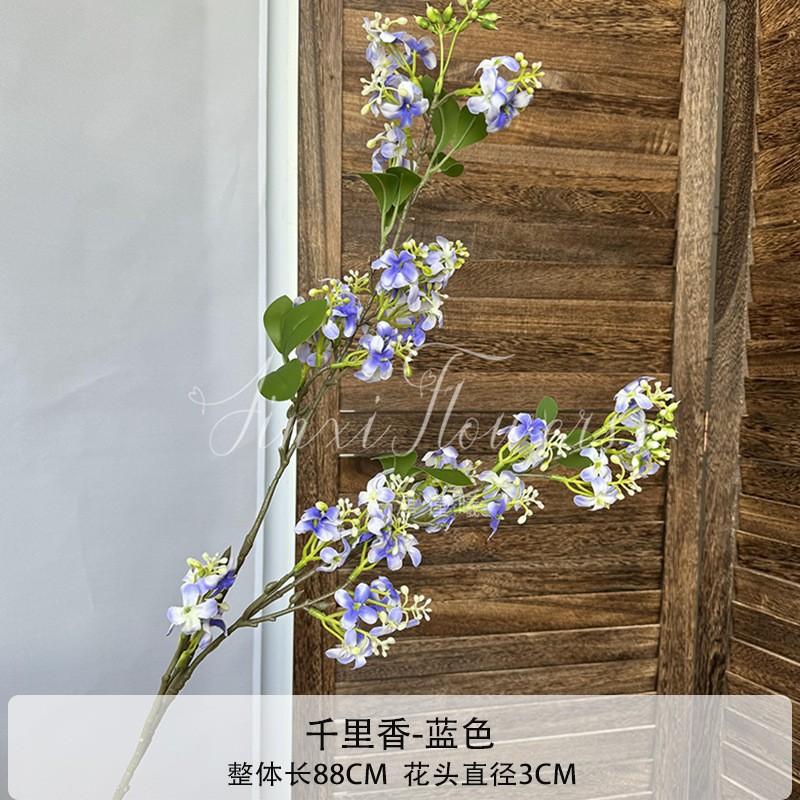 천리향