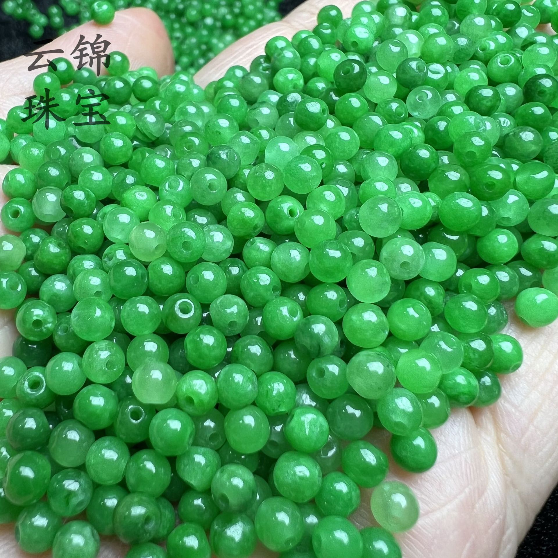 IMG_E4884