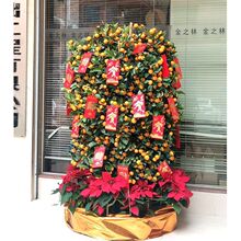 �V��������Ԏ����ļ������ٴ��;Gֲ��ɰ���������ܽ�ۘ�����