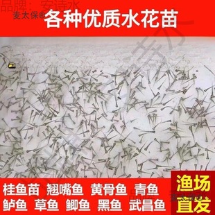 ˮ���~�����l�a�~�~���~���^�����������~���~����~�N���~��̫��