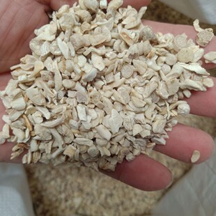 ���l �����w�����������l�o���o�s2��6̖�Y���lɽș���Y