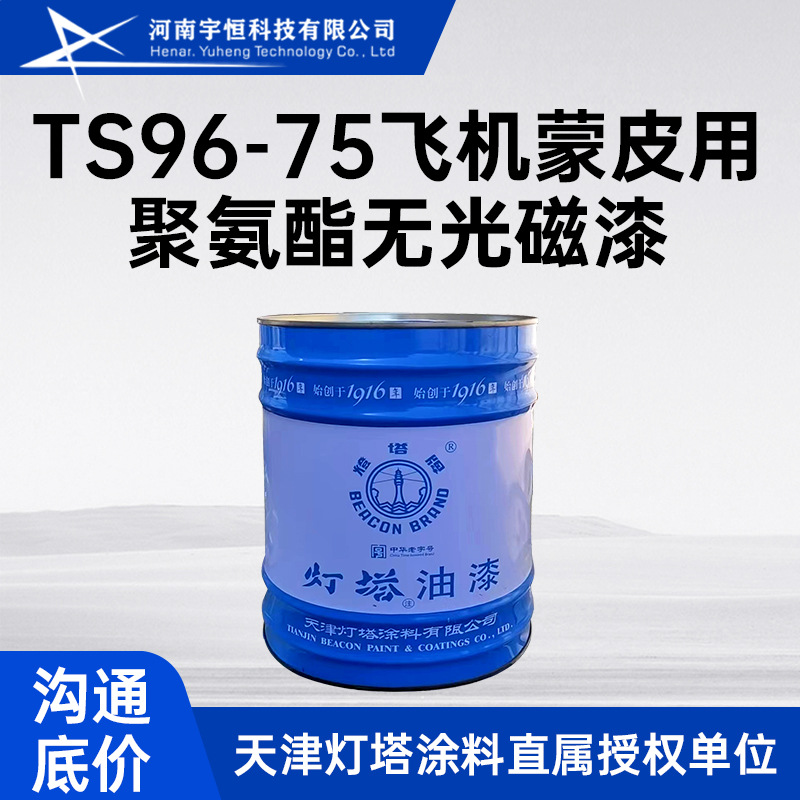 TS96-75飞机蒙皮用聚氨酯无光磁漆 用于飞机 钢结构 机车车辆等