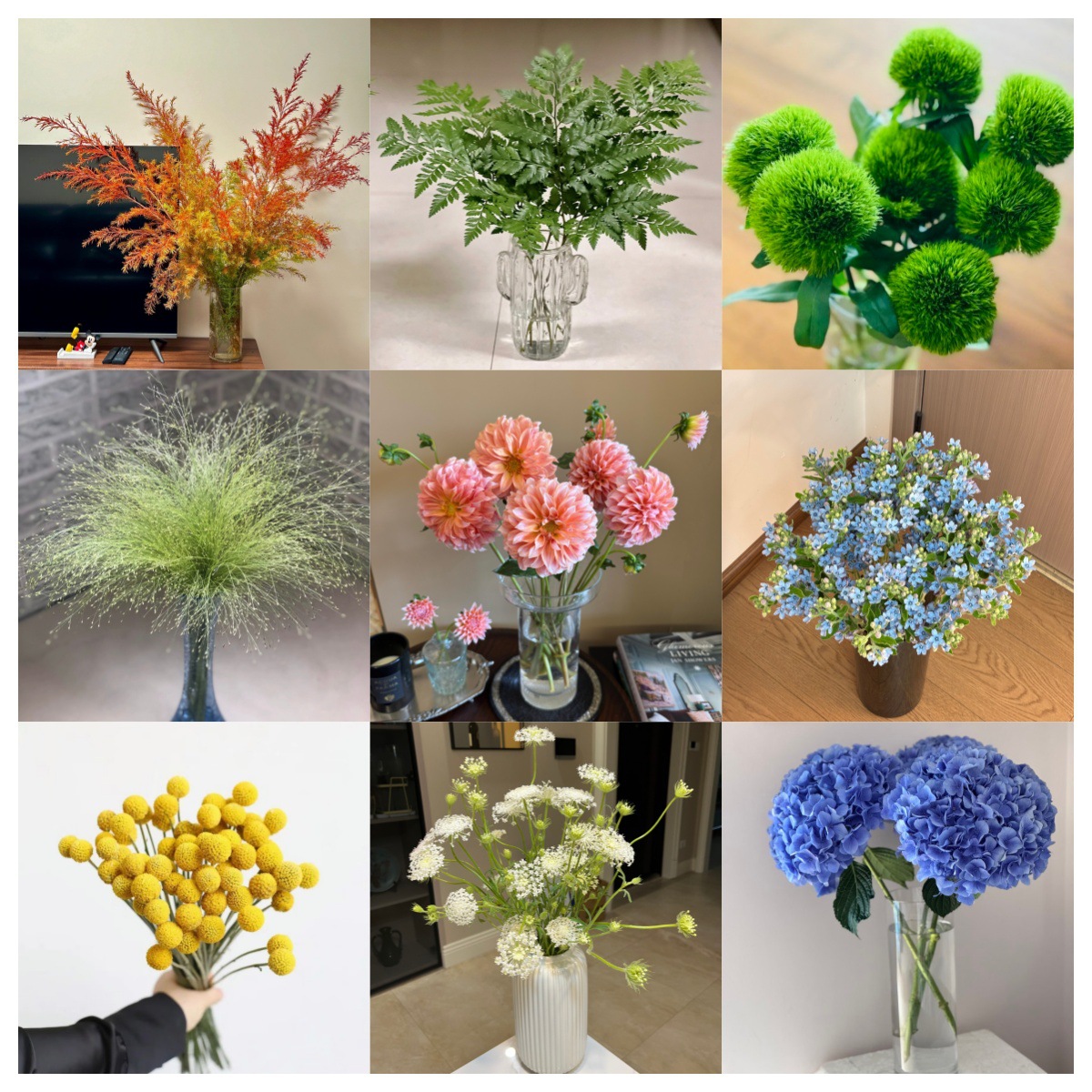 云南基地直供多品类草花组合批发花店婚庆花艺配叶配草绣球喷泉草