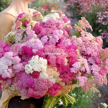 ǧ�~��ݷN�Ӷ������ͺ�������X�ݚW������Ѳ�һ֧�������䏲�