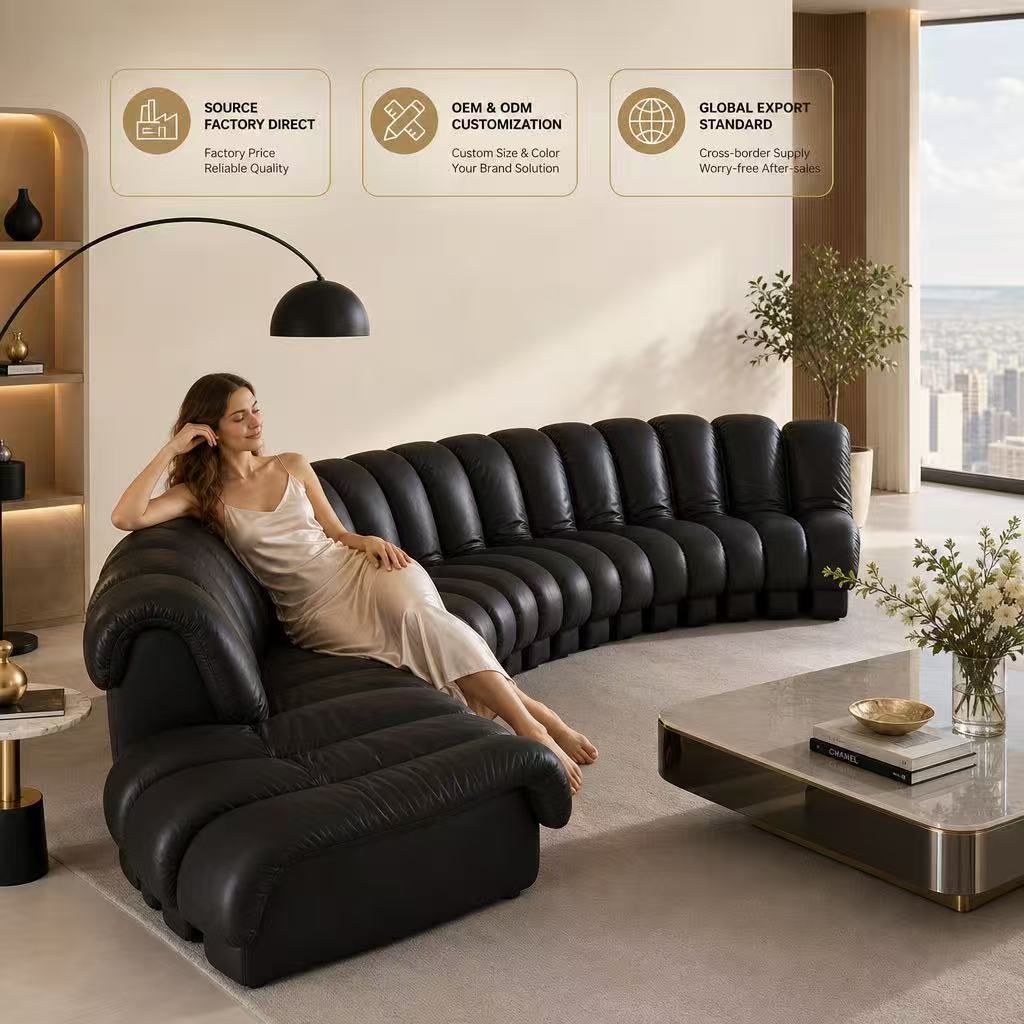 Ds600 Snake-Shaped Sofa, Italian Minimalist Modular Genuine Leather Sofa, Trendy Bendable Extendable Ribbed Sofa