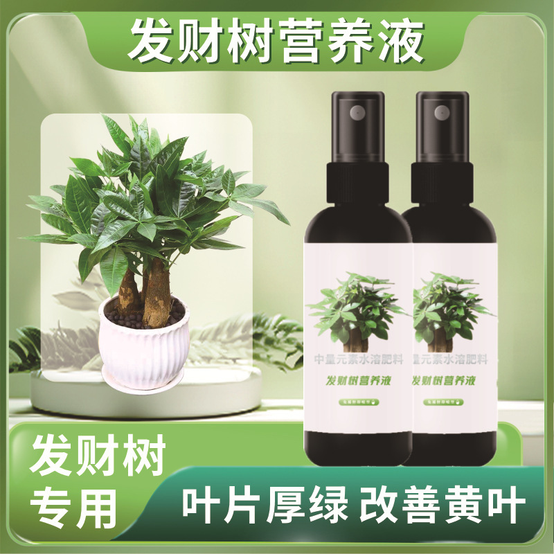 金持ちの木の栄養液の肥料の専用の肥料の室内の鉢植えの植物の活力の素の葉は黄色くなって葉の腐った根を落とします。|undefined