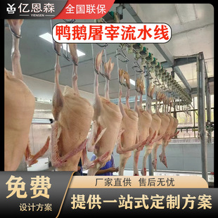 蛋鸡屠宰设备杀鹅的屠宰线禽类宰杀流水线家禽屠宰生产线设备-阿里巴巴
