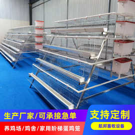 厂家供应阶梯笼子 白槽绿槽3层4层蛋鸡笼 热镀锌家禽养殖设备定制