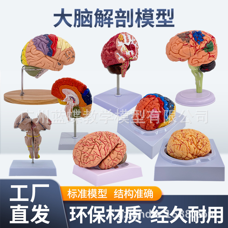 ��ģ���Թ�������ɫ��ģ�� ������Խ���ģ�� ���Զ�����������