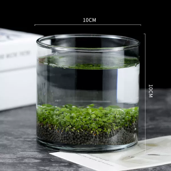 Circular bottle [10*10] Point mud+seed+watering pot