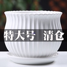 �մɻ��莧�бP�ش��̖��������҃ȼ��õ��m�G�}����]