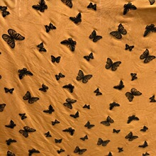 �W������ֲ�q��Ⱦ�����n��W��Խ��ӡ�����Q���Ͽ羳��̬F؛����