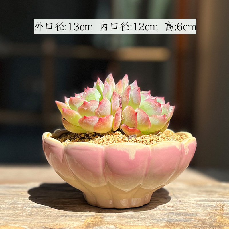 大口径多肉植木鉢創意蓮花群生単頭組み合わせ盛り合わせシンプル個性陶磁中温植木鉢|undefined