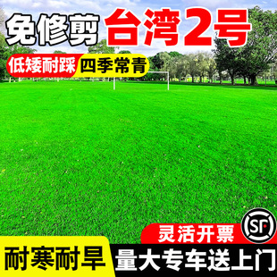 ̨����̖���Ѳ�ƺ�N��ͥԺ�e�����̾G��̨���ݰ����ļ��������޼�