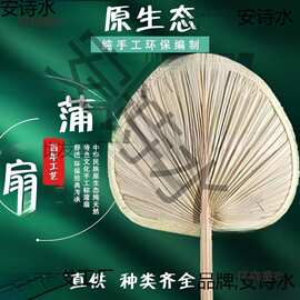 厂家批发大号芭蕉叶扇子葵扇芭蕉扇烧烤扇子蒲扇夏季纳凉直麦太保