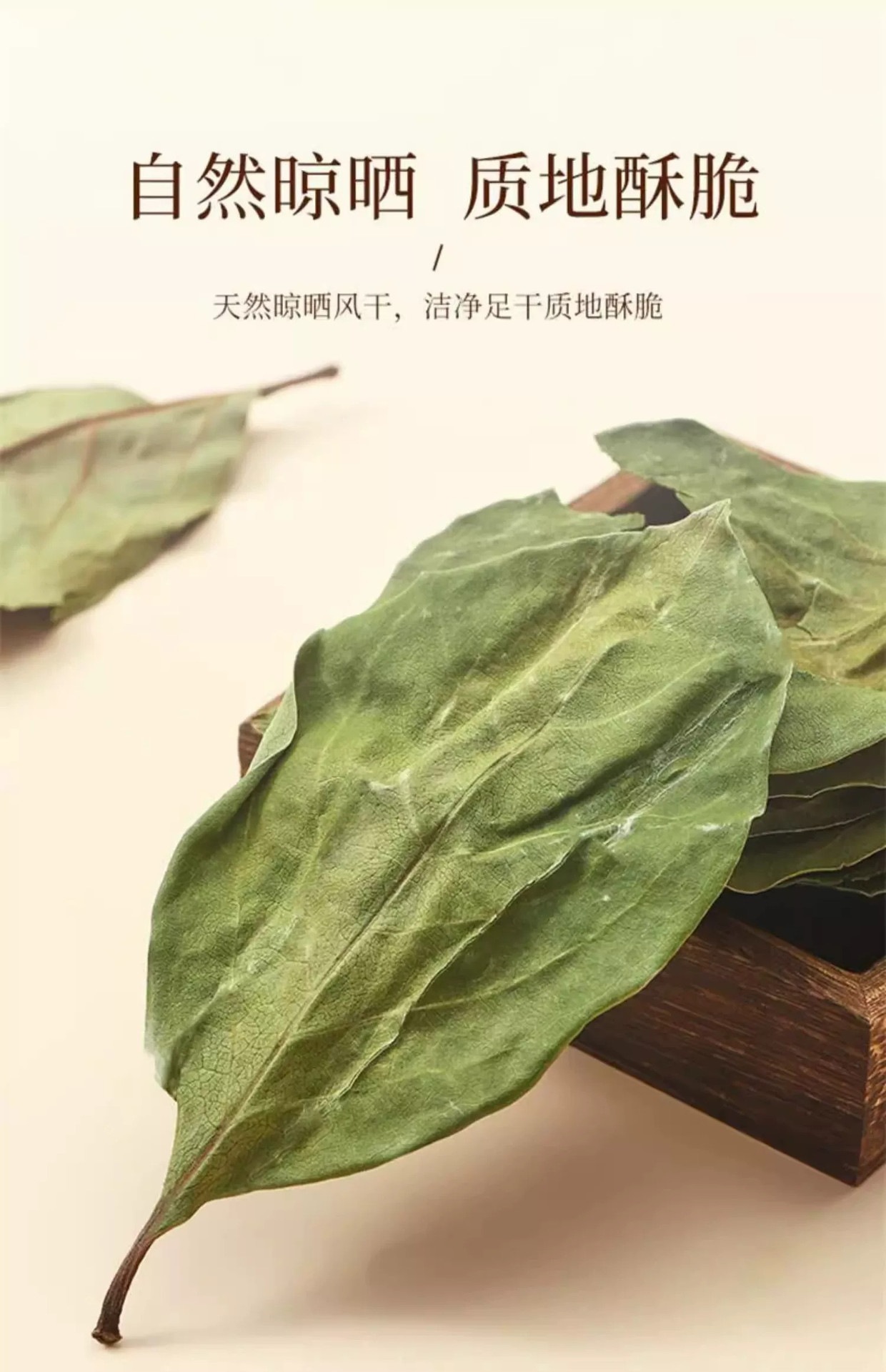 Wild Persimmon Leaf Tea Shi Ye 柿叶 Dried Herbal Tea Leaves 1600g Canister Frost Harvested Loose Bulk quality and texture