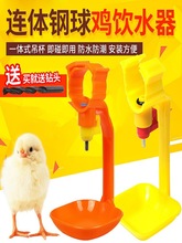 耐尔尼鸡用自动饮水器养鸭鹅用乳头式钢球连体饮水器喂鸡喝垒德株